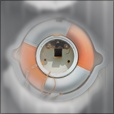 Diffuse Map