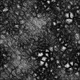 Ambient Occlusion Map