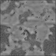 Bump Map