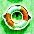 Variation 4