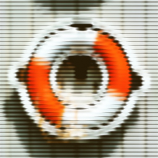 Variation 6