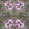 Variation 2