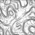 Ambient Occlusion Map