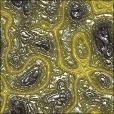Variation 3