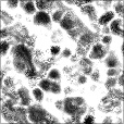 Ambient Occlusion Map