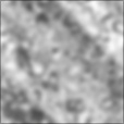 Bump Map