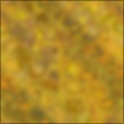Diffuse Map