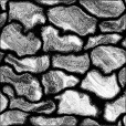 Ambient Occlusion Map