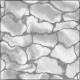 Bump Map