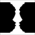 Rail Slat Profile