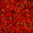 Diffuse Map