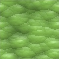 Dragon Hide