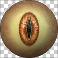 Eye Factory