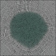 Variation 6