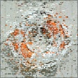 Variation 4