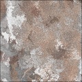 Oxidized Lichen Rock