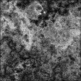 Ambient Occlusion Map