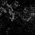 Reflective Occlusion Map