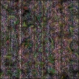 Variation 3
