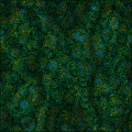 alien cloth