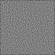 Bump Map