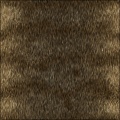 Natural Fur