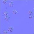Normal Map