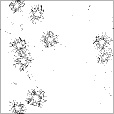 Reflective Occlusion Map