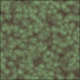 Diffuse Map