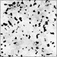 Ambient Occlusion Map