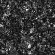 Ambient Occlusion Map
