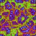 Cell alien