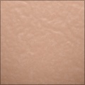 Human Skin