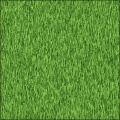 Grass