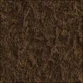 Bark
