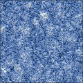 Shag Carpet