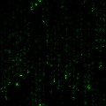 Matrix