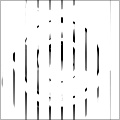 Animated Optical Illusion Generator