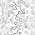 Ambient Occlusion Map