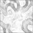Ambient Occlusion Map