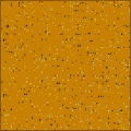 Square Space