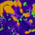 Variation 7