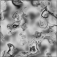 Diffuse Map