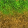 Diffuse Map