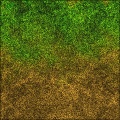 Dirt and Grass