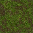 Diffuse Map