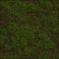 Fertilizer