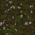 Variation 7