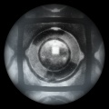 Under a Microscope