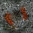 Diffuse Map